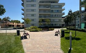Lelle Resort Apartman